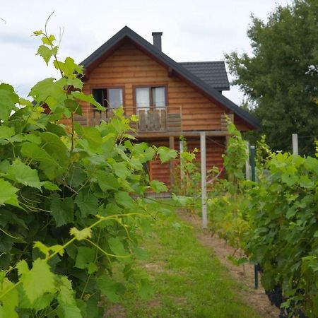 Villa Dom Pachnacy Zywica à Bochnia Extérieur photo
