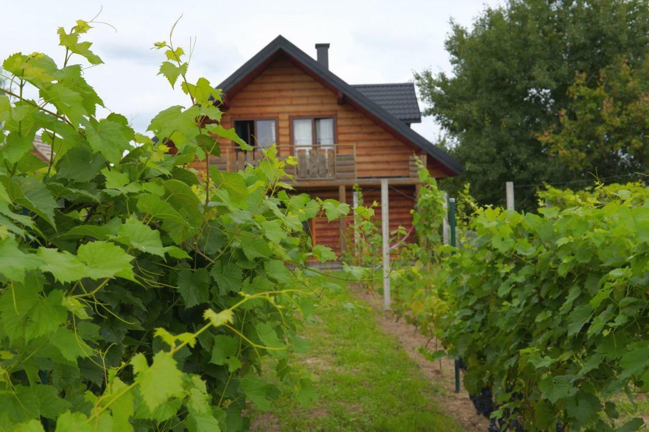 Villa Dom Pachnacy Zywica à Bochnia Extérieur photo