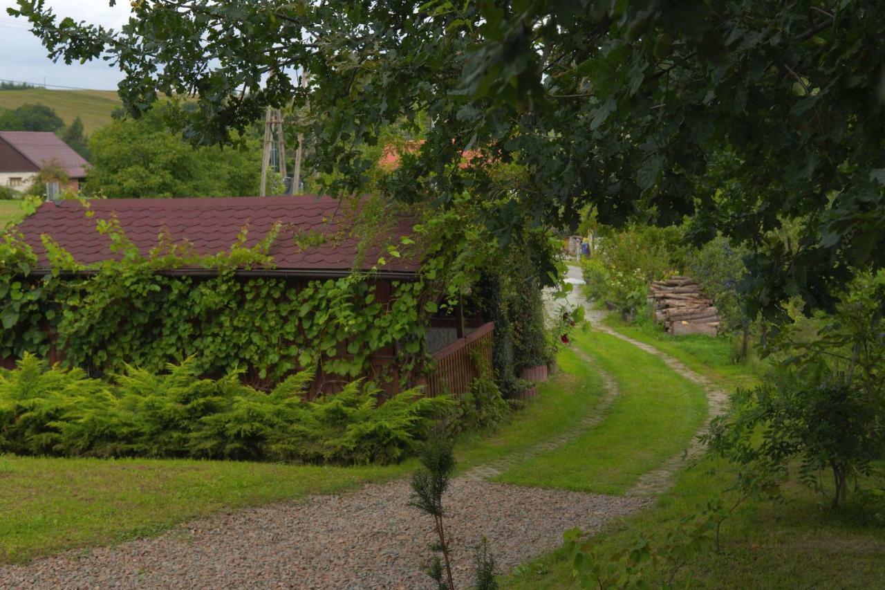 Villa Dom Pachnacy Zywica à Bochnia Extérieur photo